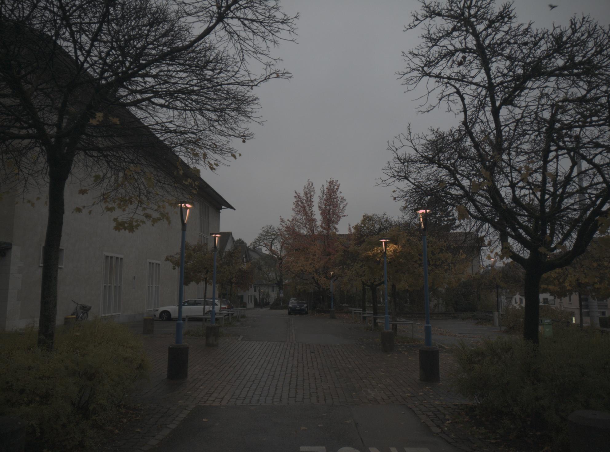 Original Image