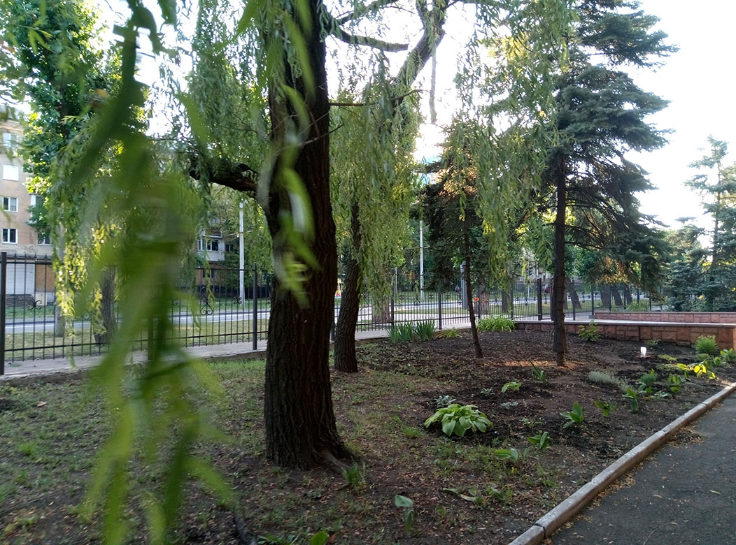 Original Image